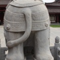 IMG_8169.JPG